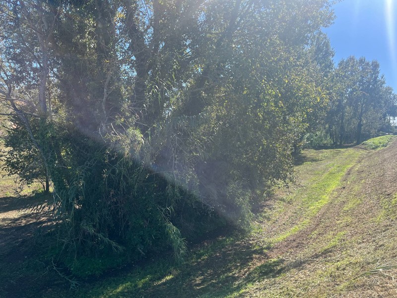 Terreno agricolo in Vendita a Vicopisano, 18'000€, 27000 m²