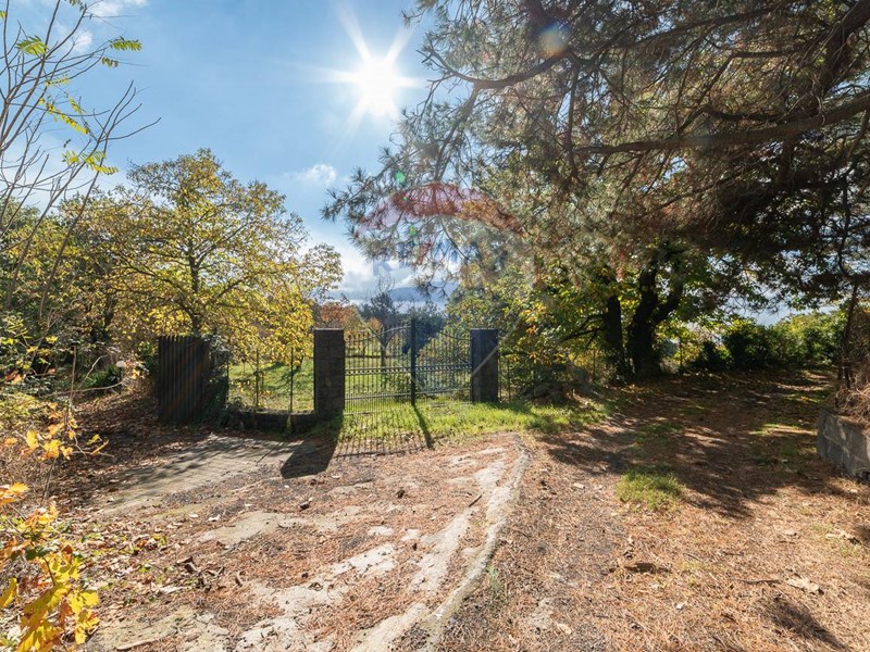 Terreno agricolo in Vendita a Adrano, 70'000&euro;, 7000 m²