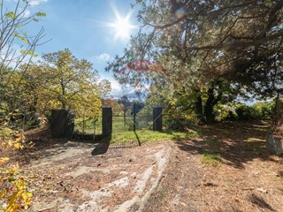 Terreno agricolo in Vendita a Adrano, 70'000&euro;, 7000 m²