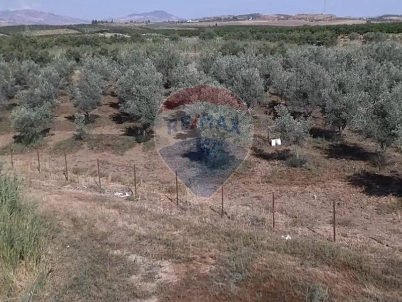 Terreno agricolo in Vendita a Paternò, 80'000€, 27666 m²