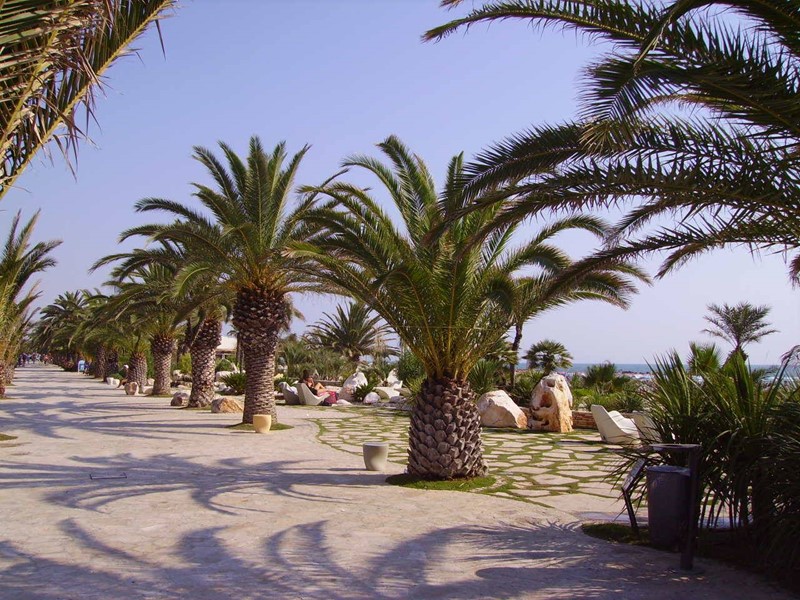 Monolocale in Vendita a San Benedetto del Tronto, 55 m²