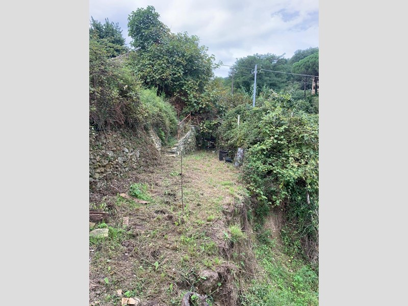 Terreno agricolo in Vendita a Vado Ligure, 15'000€, 2400 m²