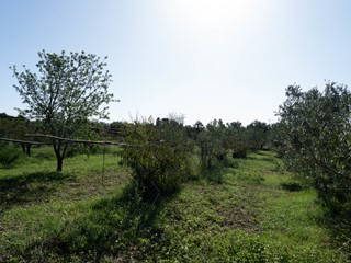 Villa in Vendita a San Sperate, 380'000€, 175 m²