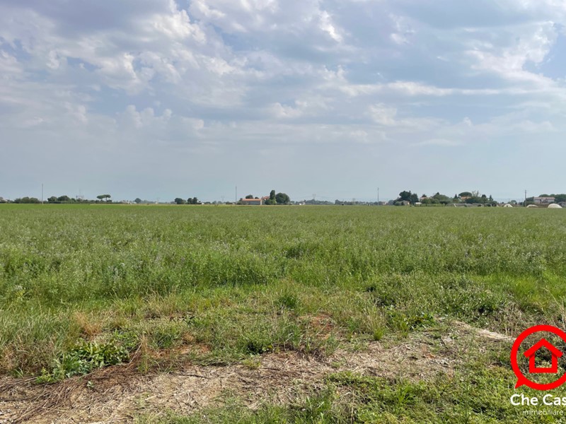 Terreno agricolo in Vendita a Cesena, zona San Giorgio, 46'000€, 15416 m²