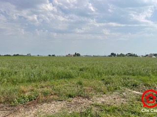 Terreno agricolo in Vendita a Cesena, zona San Giorgio, 46'000€, 15416 m²