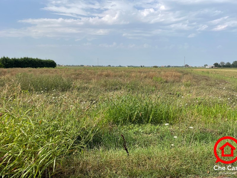 Terreno agricolo in Vendita a Cesena, zona San Giorgio, 88'000€, 29450 m²