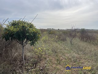 Terreno edificabile in Vendita a Noto, 15'000€, 6980 m²