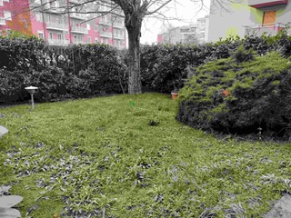 Quadrilocale in Vendita a Alessandria, 105'000€, 105 m²