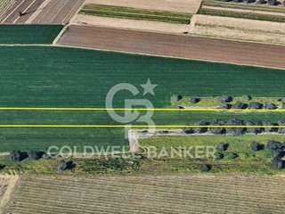 Terreno agricolo in Vendita a Brindisi, 10'000€, 4998 m²