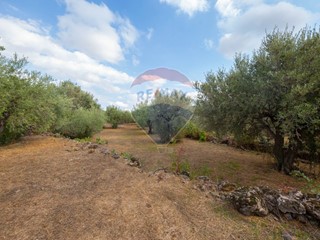 Terreno agricolo in Vendita a Camporotondo Etneo, 140'000&euro;, 4702 m²