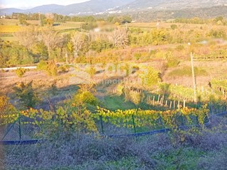 Terreno agricolo in Vendita a Figline e Incisa Valdarno, 40'000€, 36000 m²