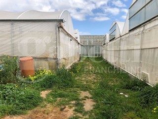 Terreno agricolo in Vendita a Assemini, 250'000€, 13000 m²