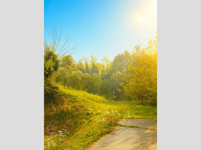 Terreno agricolo in Vendita a Chiampo, 90'000€, 5200 m²