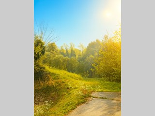 Terreno agricolo in Vendita a Chiampo, 90'000&euro;, 5200 m²