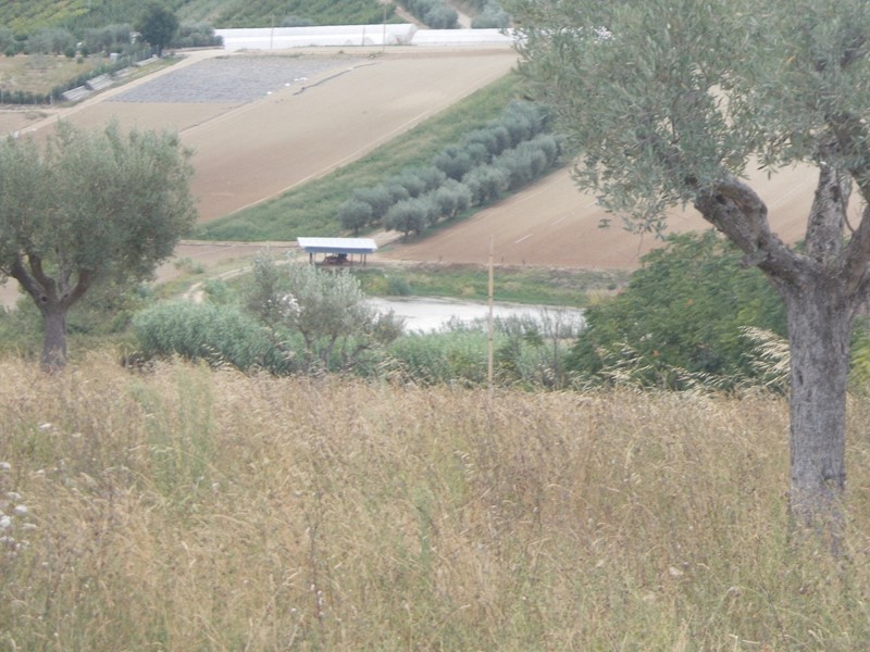 Casa Indipendente in Vendita a Colonnella, 500'000€, 450 m²