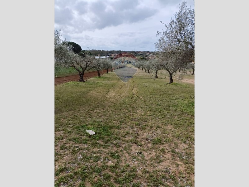 Terreno agricolo in Vendita a Caltagirone, 35'000€, 9190 m²