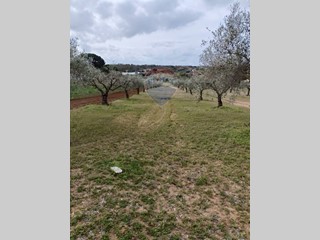 Terreno agricolo in Vendita a Caltagirone, 35'000€, 9190 m²
