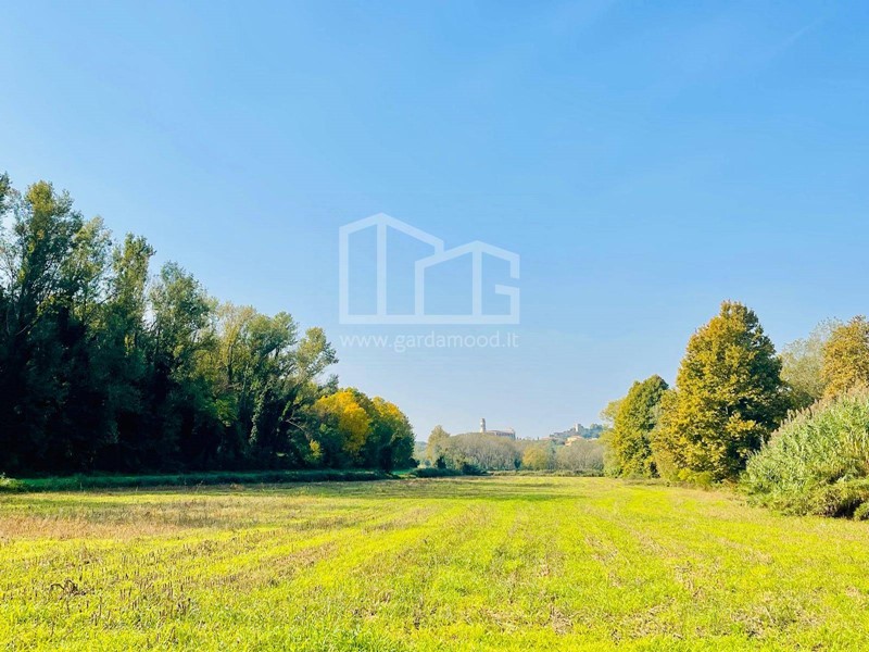Terreno agricolo in Vendita a Monzambano, 39'000&euro;, 9800 m²