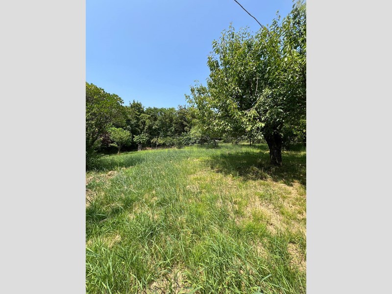 Terreno agricolo in Vendita a Val Liona, 50'000€, 14000 m²