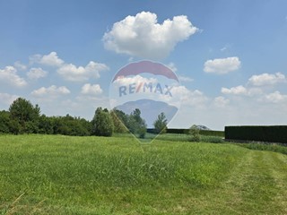 Terreno industriale in Vendita a Occhiobello, 130'000€, 3600 m²