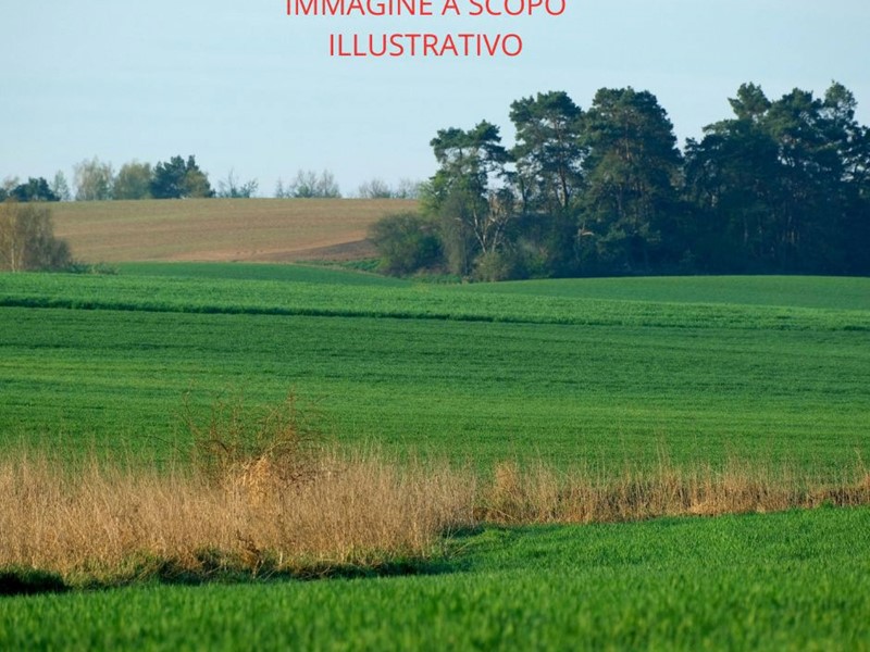 Terreno edificabile in Vendita a Chioggia, 60'000€, 1015 m²