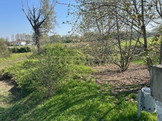 Terreno agricolo in Vendita a Bovolone, 130'000€, 2557 m²