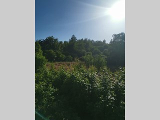 Rustico in Vendita a Pozzuoli, zona Provinciale Pianura, 390'000€, 300 m²