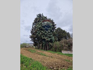 Terreno industriale in Vendita a Cerchio, 22'000&euro;, 612 m²