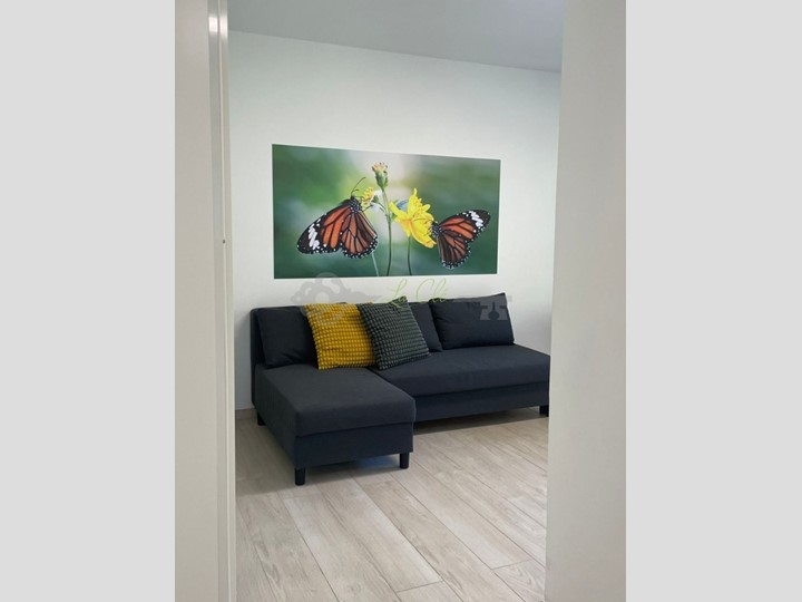 Trilocale in Affitto a Morgex, zona Ruine, 800€, 60 m², arredato, con Box