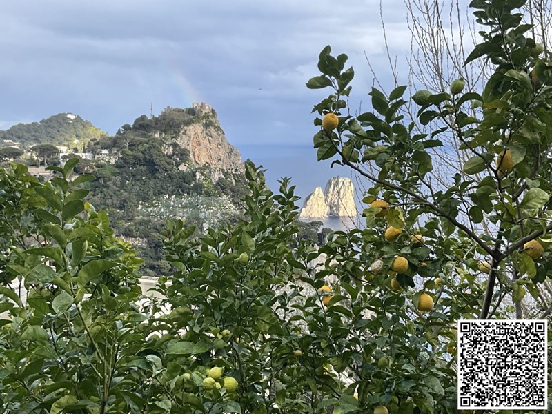 Villa in Vendita a Capri, 1'200'000€, 184 m²