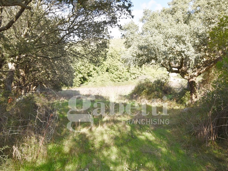 Terreno edificabile in Vendita a Sant'Antonio di Gallura, 20'000€, 3913 m²