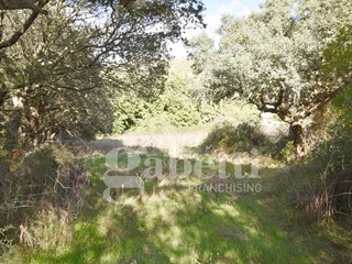 Terreno edificabile in Vendita a Sant'Antonio di Gallura, 20'000€, 3913 m²
