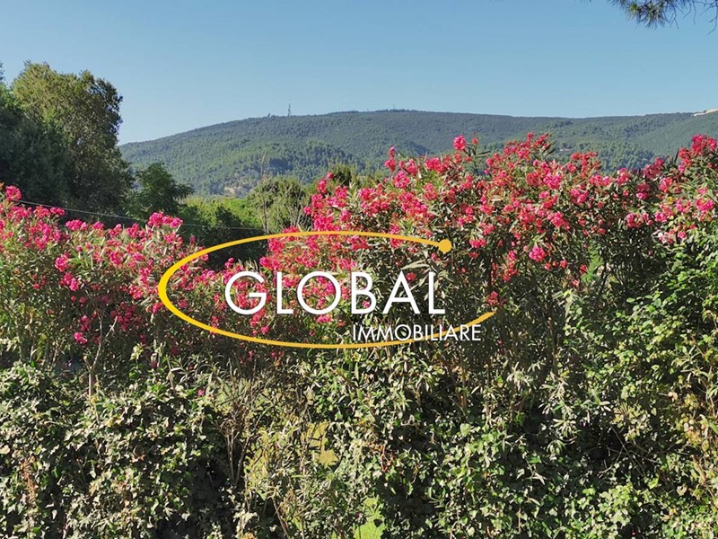 Casa Indipendente in Vendita a Sirolo, 820'000€, 235 m²