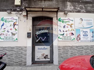 Negozio in Vendita a Catania, 60'000&euro;, 47 m²