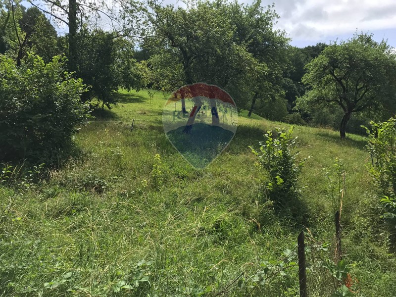 Terreno agricolo in Vendita a Zogno, 25'000€, 20000 m²