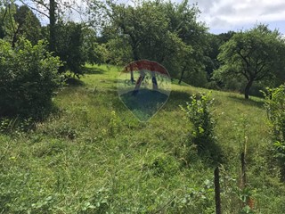 Terreno agricolo in Vendita a Zogno, 25'000€, 20000 m²