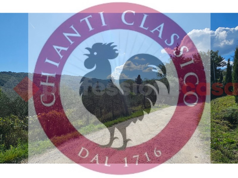 Attività commerciale in Vendita a Greve in Chianti, 990'000€, 318 m²