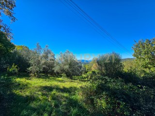 Studio in Vendita a Roccastrada, zona Roccatederighi, 199'999€, 200 m²