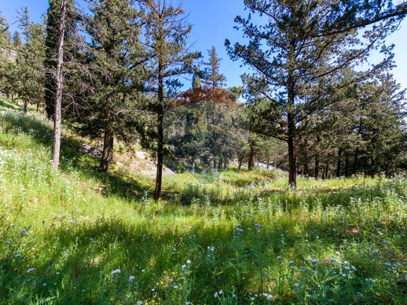 Terreno agricolo in Vendita a Palermo, 40'000€, 18500 m²