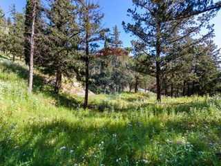 Terreno agricolo in Vendita a Palermo, 40'000€, 18500 m²