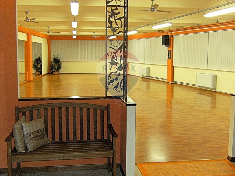 Laboratorio in Vendita a Massarosa, 170'000€, 229 m²