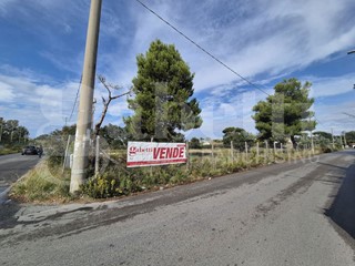 Terreno edificabile in Vendita a Anzio, 5000 m²