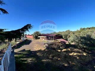 Terreno agricolo in Vendita a Belpasso, 160'000€, 8000 m²