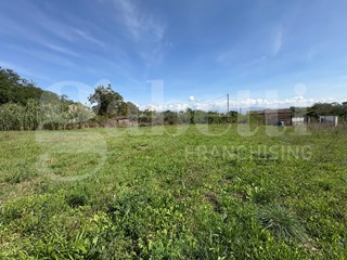 Terreno agricolo in Vendita a Montelanico, 49'000€, 15900 m²