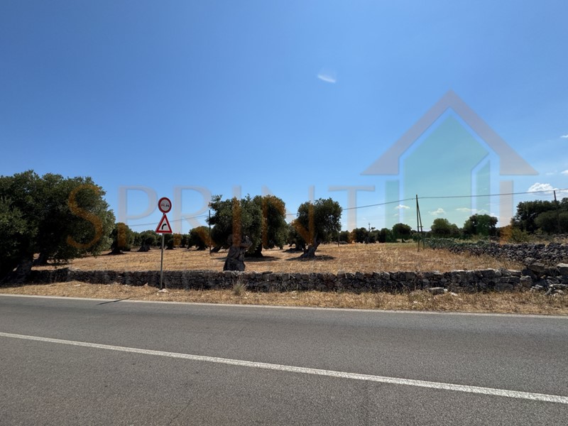 Terreno agricolo in Vendita a Fasano, 250'000€, 74959 m²