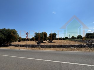 Terreno agricolo in Vendita a Fasano, 250'000€, 74959 m²