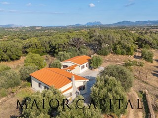 Casa Indipendente in Vendita a Olbia, 580'000&euro;, 775 m²