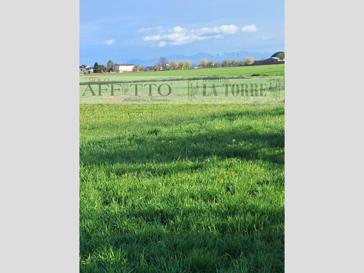 Terreno edificabile in Vendita a Alessandria, 11'000€, 1520 m²