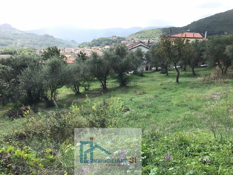 Terreno agricolo in Vendita a Cautano, 25'000€, 2000 m²
