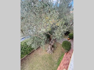 Immobile commerciale in Affitto a Avellino, 2'200€, 210 m²